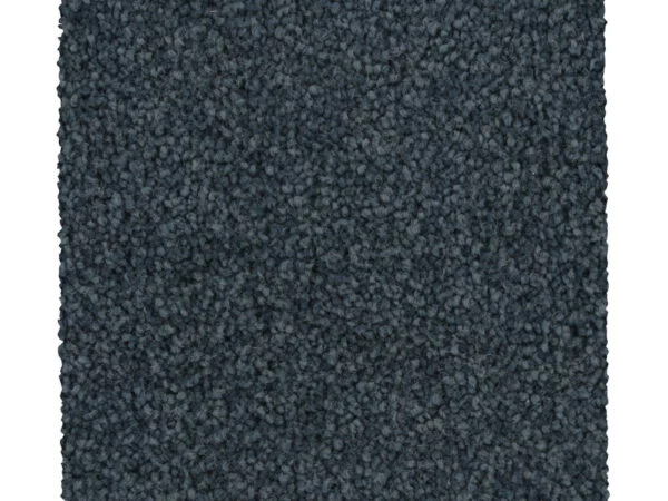 Coastal Fashion I, Storm, Carpet | Mohawk Flooring