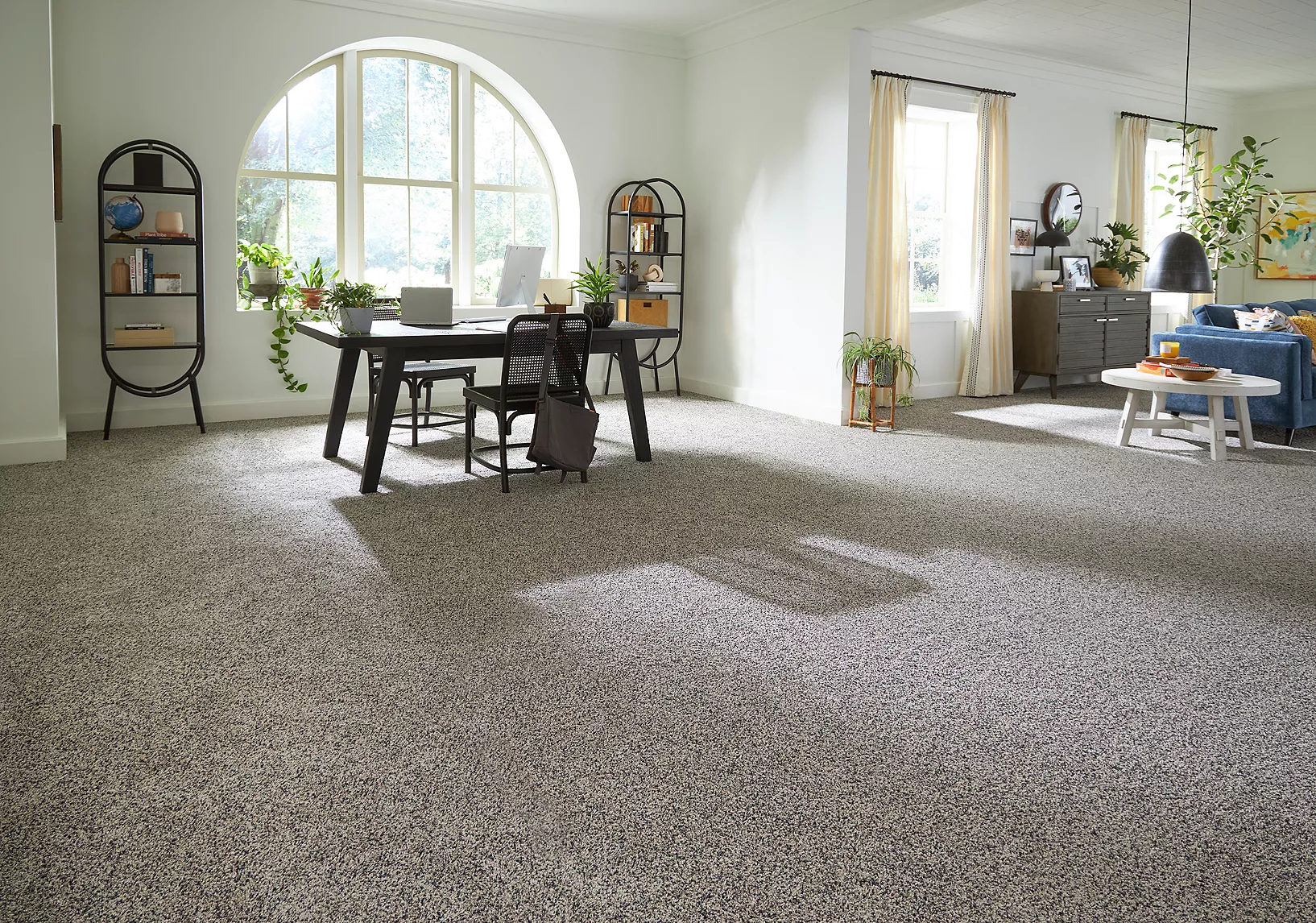 PetPremier carpet flooring installed in office