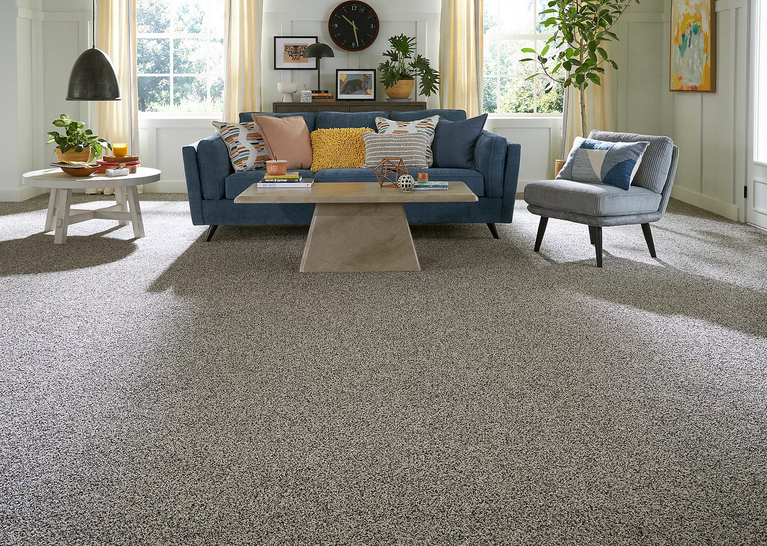 PetPremier  carpet flooring in huge modern living room